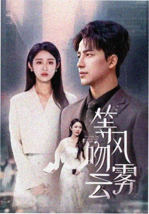 长夜回声 电视剧全集在线观看